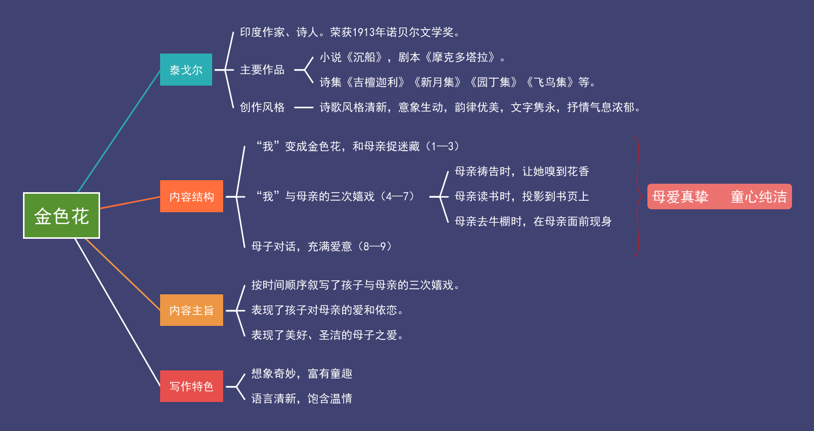 七年级金色花思维导图图片